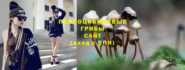 трава Зерноград