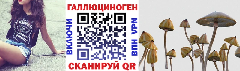 Псилоцибиновые грибы Cubensis  Купить закладки  Электроугли 